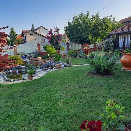 Guest House Rose Смедеревска-Паланка Экстерьер фото