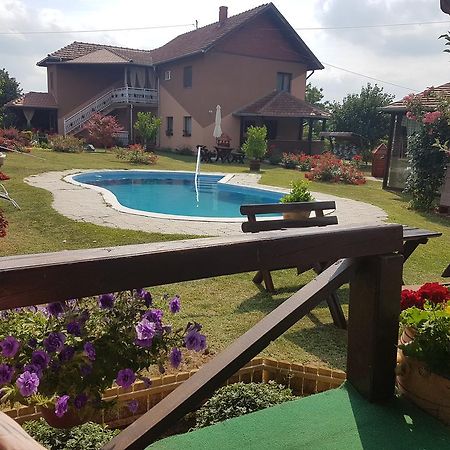 Guest House Rose Смедеревска-Паланка Экстерьер фото