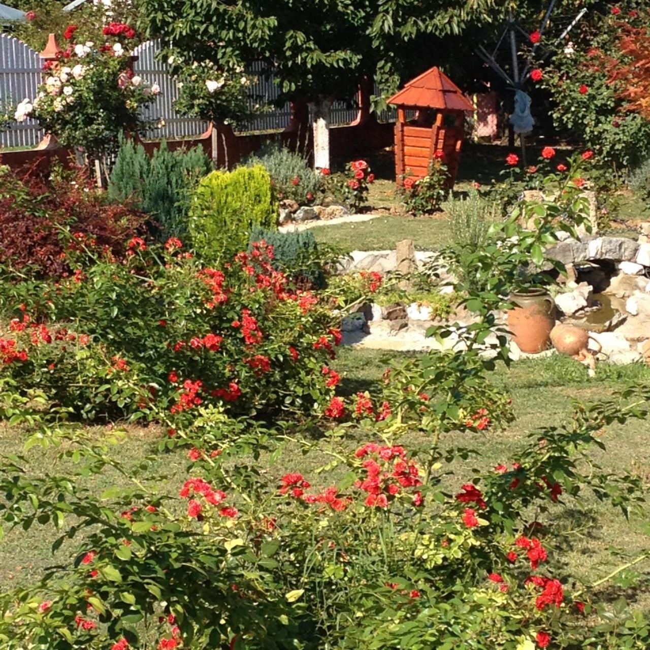 Guest House Rose Смедеревска-Паланка Экстерьер фото